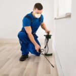 Pest Control Provider - The Entrance To Safeguard Your Home As Well As Your Wellness