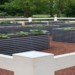 5 Advantages Of Raised Garden Beds